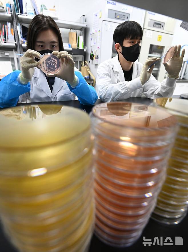 [수원=뉴시스] 김종택 기자 = 19일 경기 수원시 권선구 경기도보건환경연구원에서 연구원들이 식중독균 배양분리작업을 하고 있다.최근 이른 더위가 시작되면서 학교 급식 등 집단급식소 식중독 의심 신고는 총 110건으로 최근 3년 평균(84건)보다 31% 증가했다. 2025.05.19. jtk@newsis.com