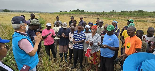 아프리카 가나에서 K-라이스벨트 사업으로 진행된 농민 교육 [농촌진흥청 제공. 재판매 및 DB 금지]