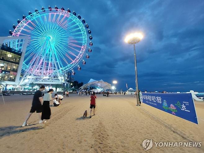 '밤바다서 해수욕'…속초해수욕장 야간 개장 [연합뉴스 자료사진]