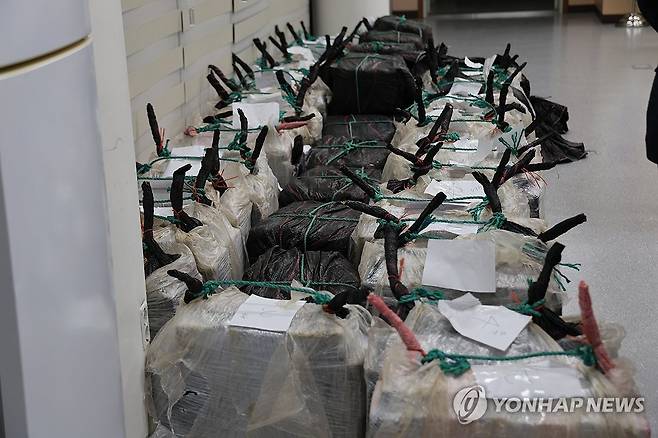강릉 옥계항서 압수한 코카인 의심 물질 [연합뉴스 자료사진]