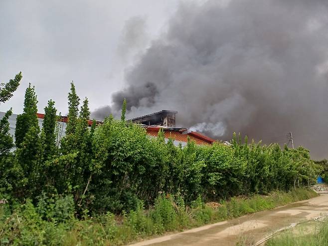 천안 풍세면 돈사 화재 [충남소방본부 제공. 재판매 및 DB 금지]