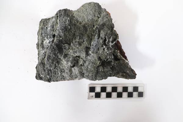 극지연구소가 남극 중앙해령에서 채집한 화살벌레와 열수광석 모습.