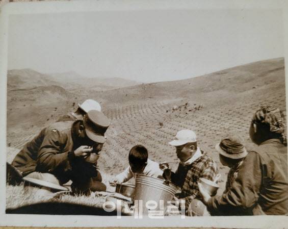 고(故) 서삼모 선생과 서씨의 어머니 고(故) 황난옥 여사가 일꾼들과 함께 순천 백이산 일원에서 나무를 식재하고 있다. (사진=백이산편백 제공)