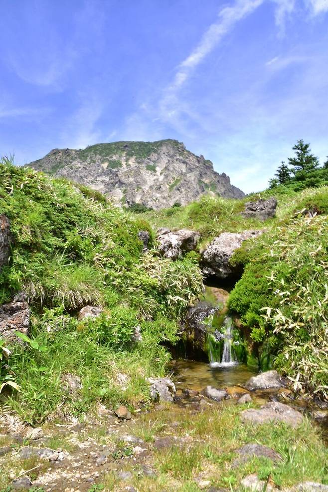 한라산 비공개 구간인 윗세오름과 남벽 분기점 사이에 위치한 백록샘./제주도