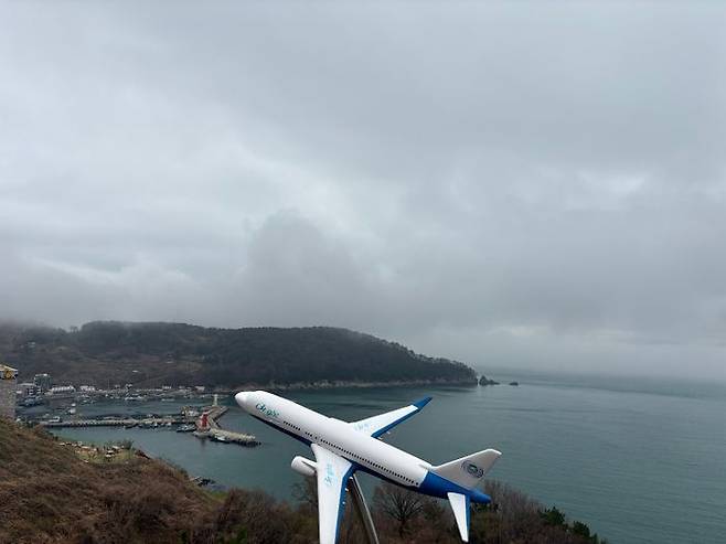 가덕도신공항의 부지 전경.ⓒ데일리안 임정희 기자