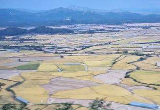 넓게 펼쳐진 철원 평야