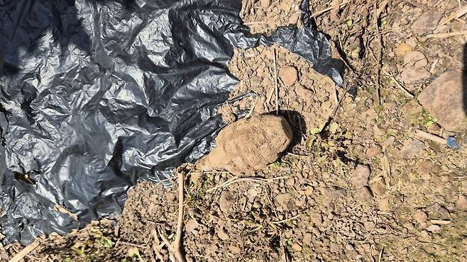 사진 제공 경북소방본부