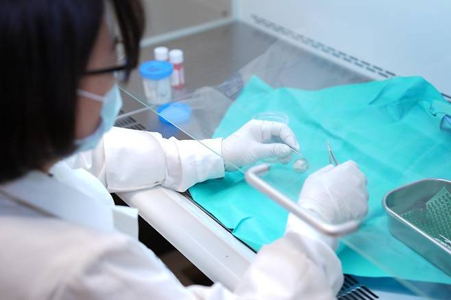 8일 서울 서초구 서울성모병원 대학본관 안은행에서 의료진이 각막을 다루고 있다. 서울성모병원 제공