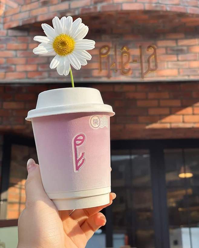 현재 베트남에서 𝙈𝙄𝘾𝙃𝙄𝙉 샤라웃 받는 한국 연예인.JPG | 인스티즈 현재 베트남에서 미친 샤라웃 받는 한국 연예인.JPG