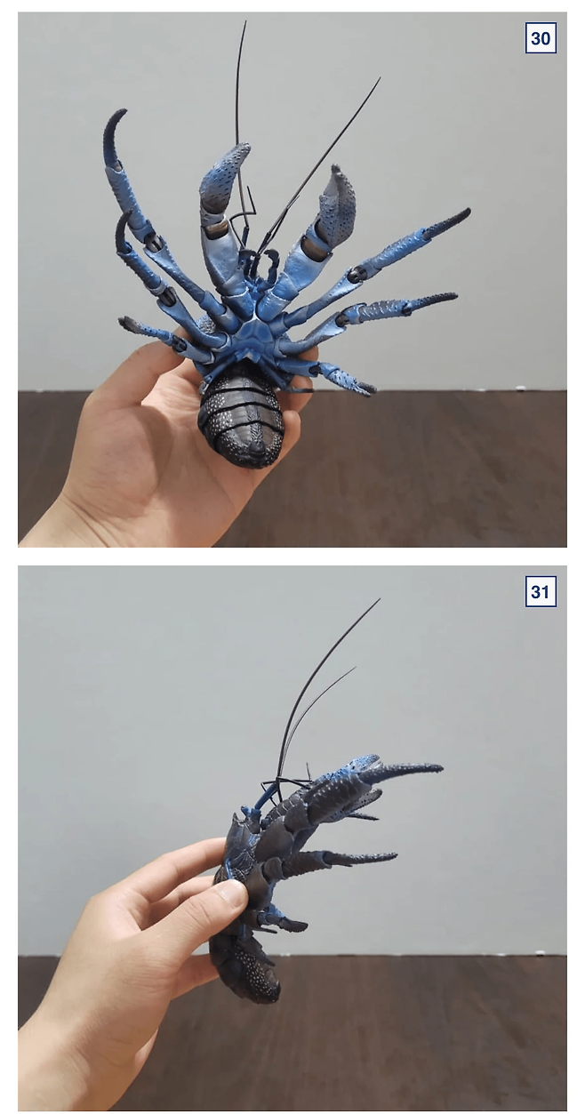 image.png 싱글벙글 9만원짜리 코코넛 크랩.jpg