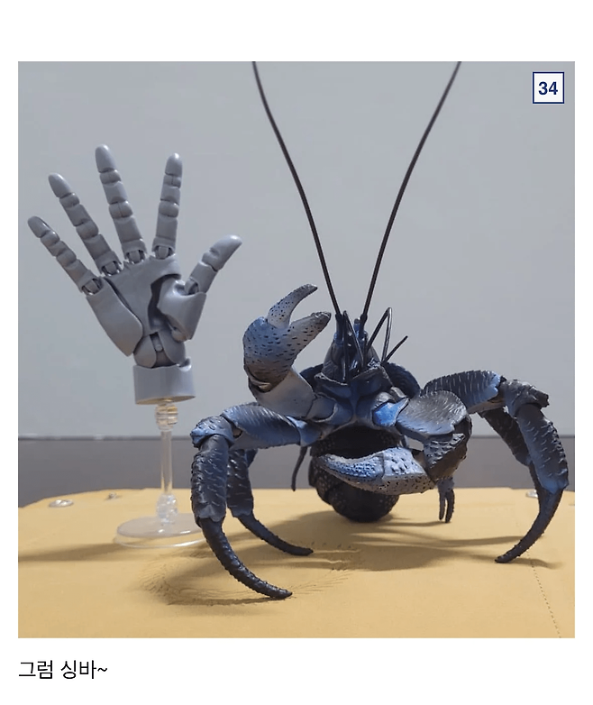 image.png 싱글벙글 9만원짜리 코코넛 크랩.jpg