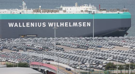 20일 경기도 평택항 자동차 전용 부두에 수출용 차량이 세워져 있다. 뉴스1