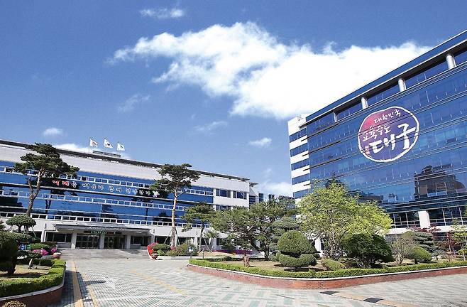 대구시교육청 전경. 국민DB