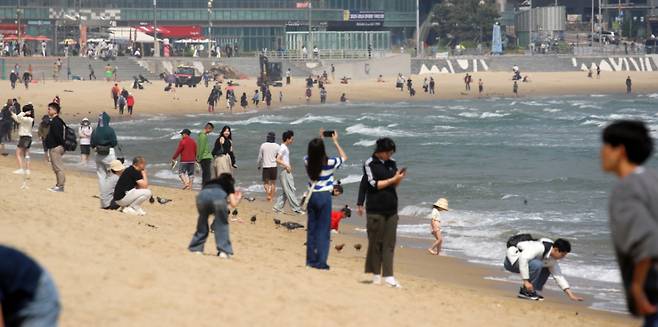 부산 해운대해수욕장/사진=뉴스1
