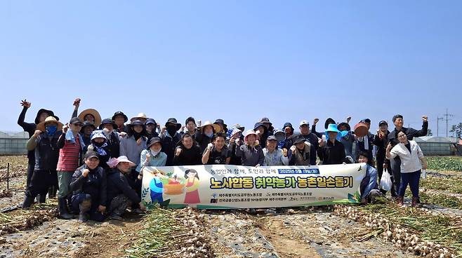 농촌일손돕기 나선 제주도청-공무원노조-공무직노조/사진제공=제주특별자치도