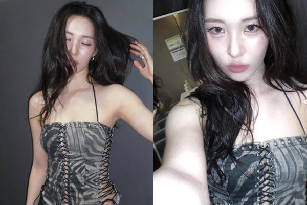 가수 선미가 코르셋 뷔스티에로 섹시한 매력을 뽐냈다. /사진=선미 인스타그램