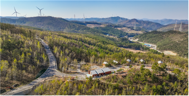 천상의 숲 전경. 강원도청 제공