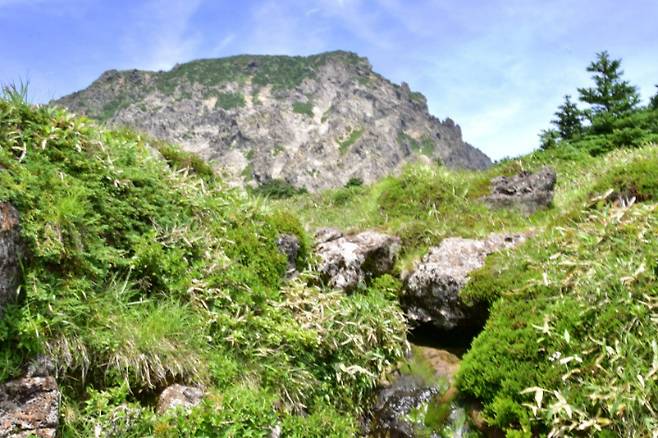 한라산 미공개 구간인 '백록샘'이 세계유산축전기간 일반에 공개된다. 제주도 세계유산본부 제공