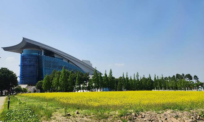 경주시가 형산강 유휴부지를 정비해 형산강변 갓꽃단지를 조성했다. 경주시 제공