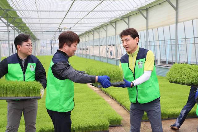 김진태 강원특별자치도지사(오른쪽)과 김동훈 강원도농업기술원장(가운데)이 서홍천농협(조합장 권철중) 벼 육묘장에서 모판을 나르고 있다. 사진제공=강원도