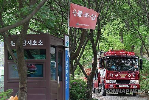 산불 감시 [연합뉴스 자료 사진]