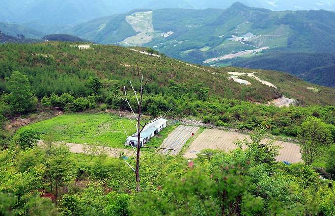 태백시 스마트농업 사업 대상지 [태백시 제공.재판매 및 DB 금지]