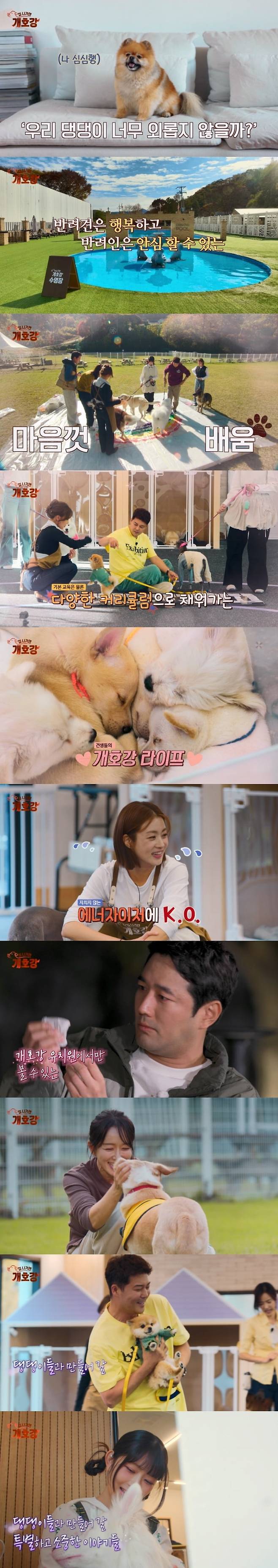 사진 제공 = JTBC ‘집 나가면 개호강’