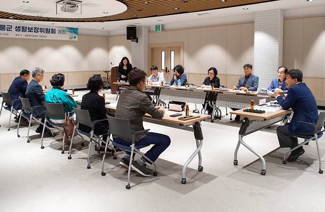 울릉군생활보장위원회가 최약계층지원방안에 대해 논의하고 있다. /울릉군 제공