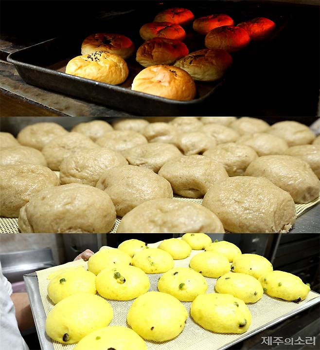 신세계제과에서 만날 수 있는 빵들. 어머니로부터 물려받은 노하우를 아들이 발전시켰다. ⓒ제주의소리