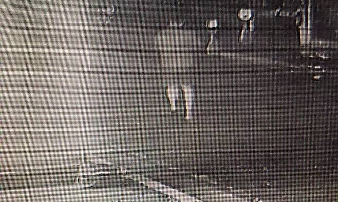 지난해 10월 23일 오전 경기 고양시 일산동구의 한 노래방에서 70대 여성 업주를 살해하려다가 미수에 그친 뒤 달아나는 30대 남성의 모습이 인근 폐쇄회로(CC)TV에 포착됐다 (사진=연합뉴스)