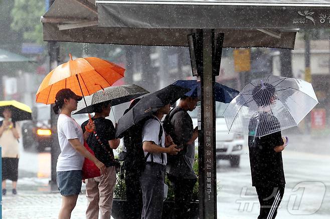 자료사진/뉴스1