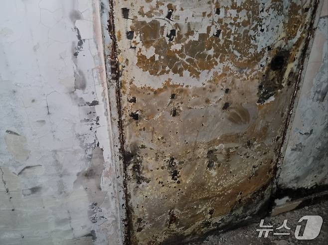 올라의 소개를 따라 들어간 니르오즈 키부츠의 한 집에 있는 세이프룸. 총알 자국이 선명하다.