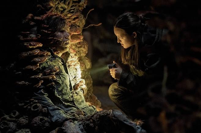 박천국. 사진 | HBO