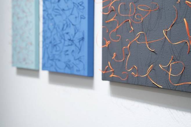 '편백나무' 전시가 이뤄지는 노화랑 내부 전경. 노화랑