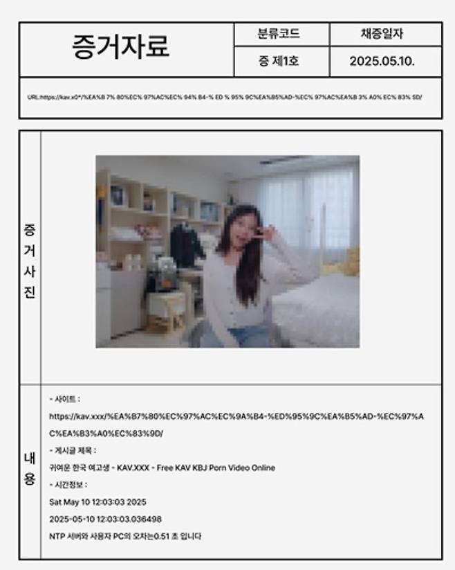 AI가 삭제한 청소년 성범죄동영상 예시.ⓒ서울시 제공