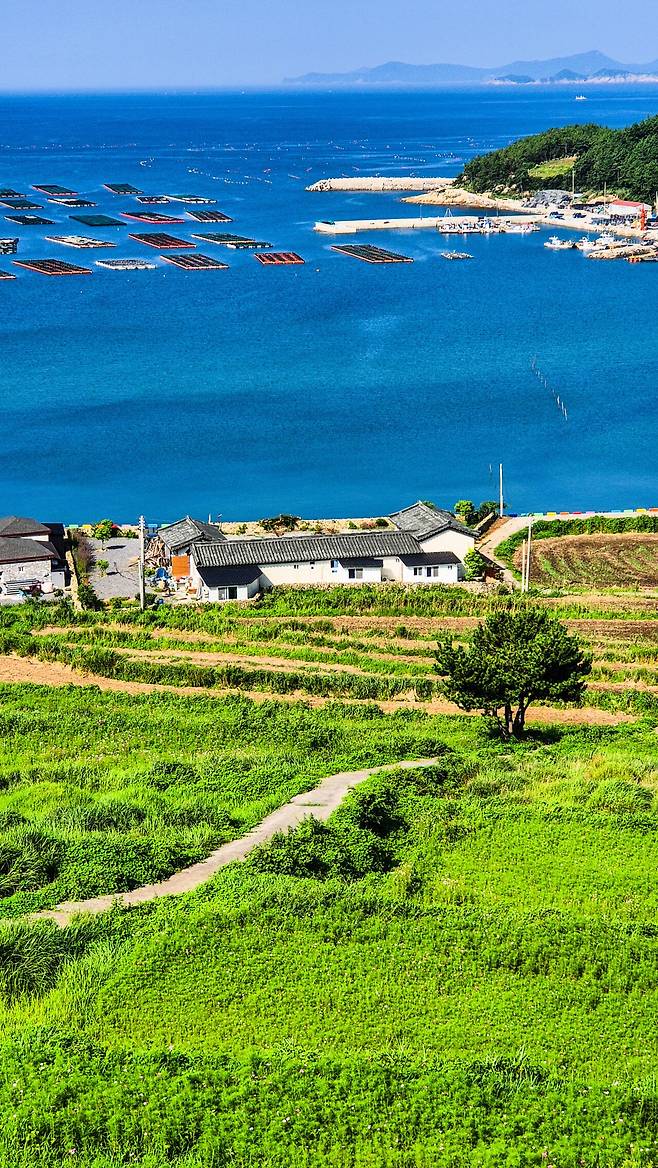 1000007785.jpg [국내여행] 청산도