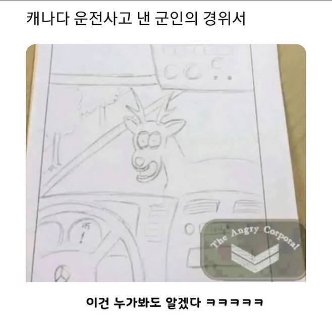 단풍국의 교통사고 경위서