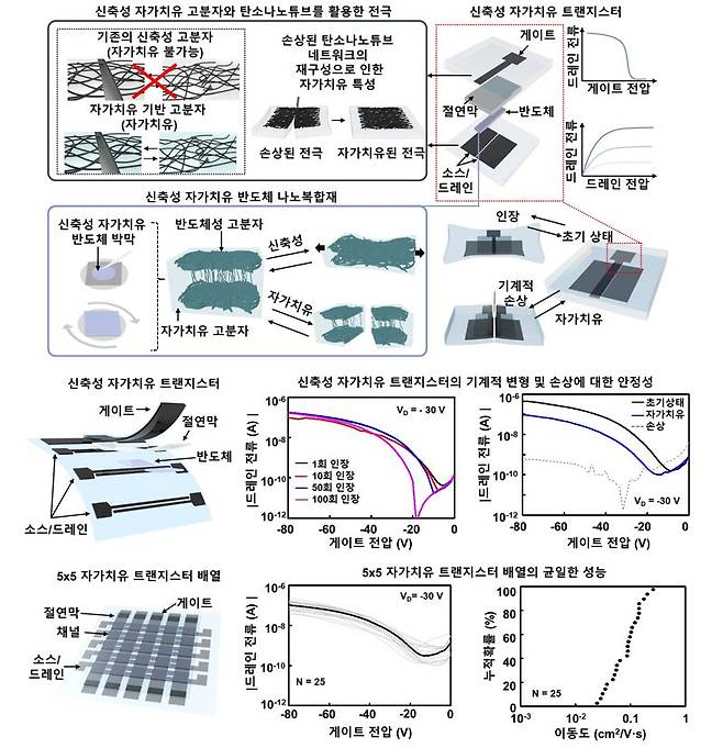 신축성 자가치유 트랜지스터의 구성요소와 특성. 한국연구재단 제공