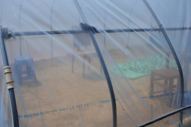 임 할머니 댁 비닐하우스 안의 세 의자. 양창모 제공