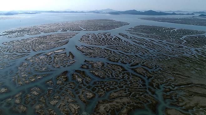 새만금 수라갯벌을 다룬 황윤 감독 다큐멘터리 ‘수라’의 한 장면. 스튜디오 두마 제공