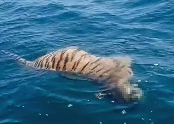 사진 홈페이지 캡처