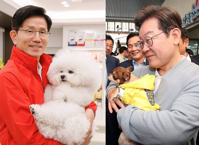 사진=뉴스1, 연합뉴스