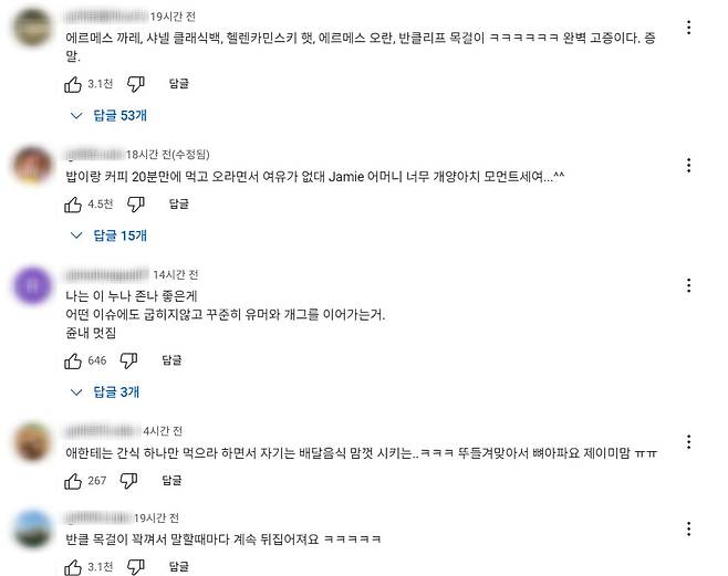 출처=유튜브 '핫이슈지 댓글'