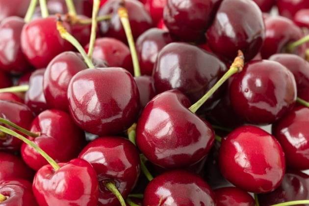 사진=게티이미지뱅크