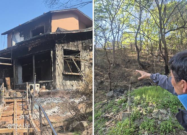 주왕산국립공원 서쪽 입구 부근의 달기약수터는 침엽수림 비율이 높은 지역으로 지난 3월 영남 산불의 피해가 상대적으로 컸다(왼쪽 사진). 반면 주왕산국립공원 내 너구마을은 활엽수가 더 많아 산불 피해가 크지 않았다(오른쪽). 반기웅 기자