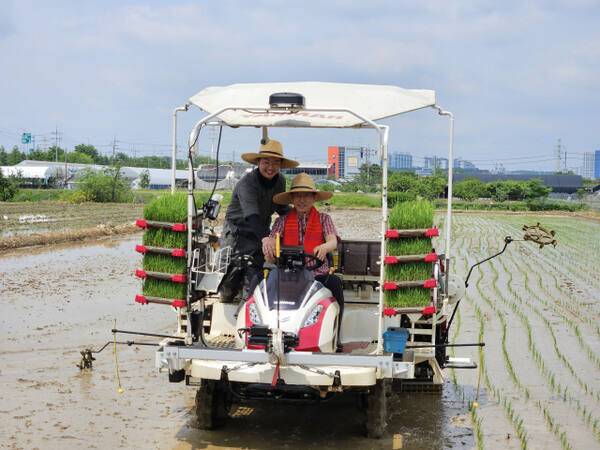 국민의힘 김문수 대선 후보가 21일 고양특례시를 찾아 청년 농업인들과 함께 모내기를 체험하고 있다. 오민주기자