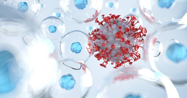 기사의 이해를 돕기 위한 이미지로 기사와 직접적 연관은 없습니다. 이미지투데이 제공