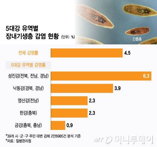 5대강 유역별 장내기생충 감염 현황/그래픽=윤선정