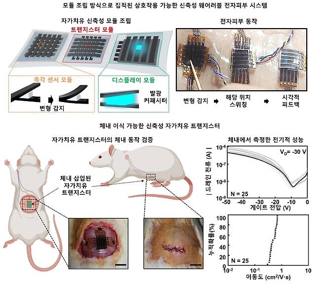 신축성 자가치유 전자회로의 웨어러블 및 임플랜터블 시스템 적용.[성균관대학교 제공]