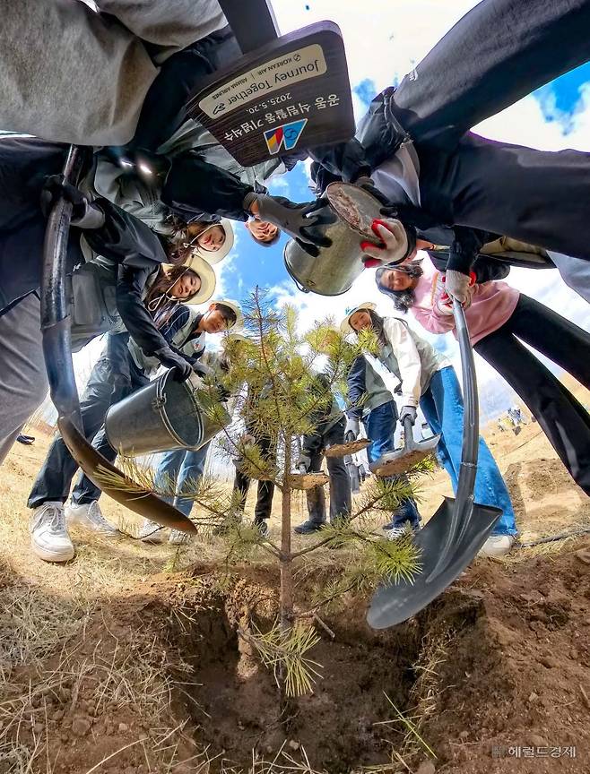 대한항공과 아시아나항공 임직원들이 지난 20일 몽골 울란바타르시 바가노르구에 위치한 대한항공 숲에서 식림 활동을 하고 있다. 바가노르(몽골)=임세준 기자